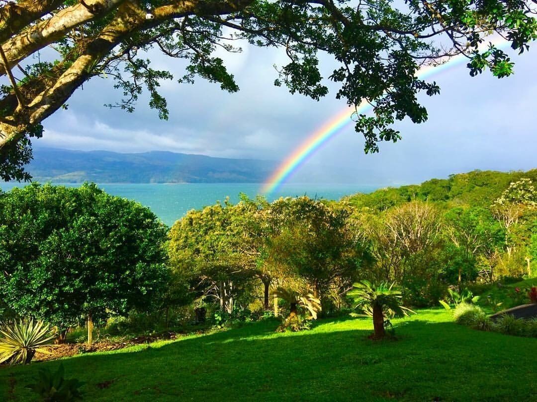 A lush garden with a variety of trees and a clear view of a distant body of water.