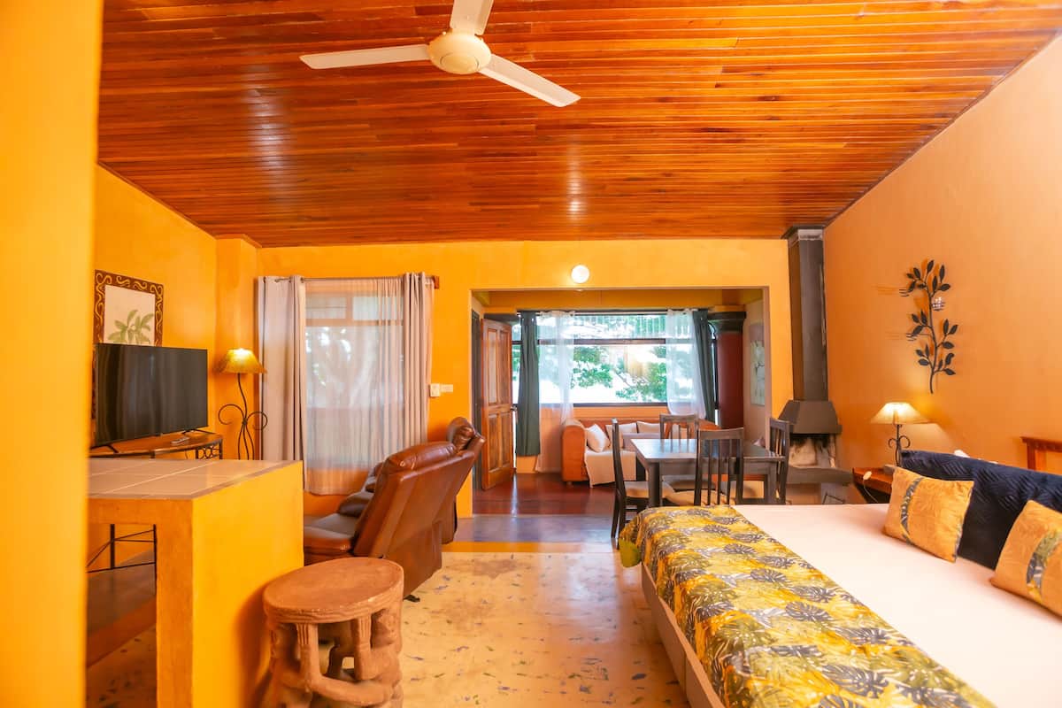 A room with a bed, a desk, a chair, a television, and a fireplace.