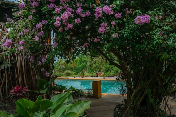Una piscina techada, una piscina al aire libre