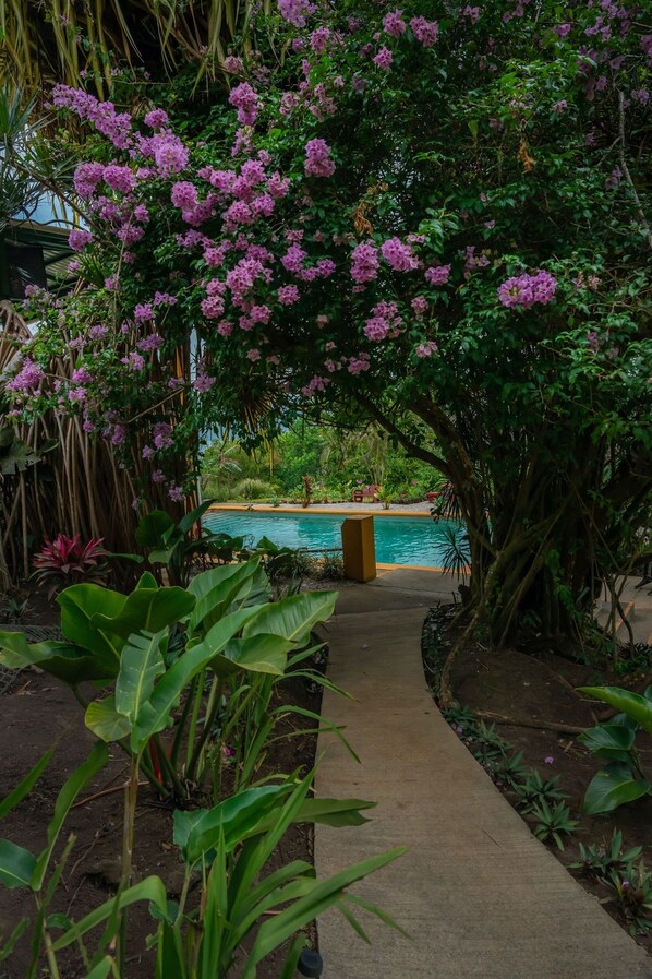 Indoor pool, outdoor pool - Lake Arenal Hotel & Brewery (Santa Rosa)