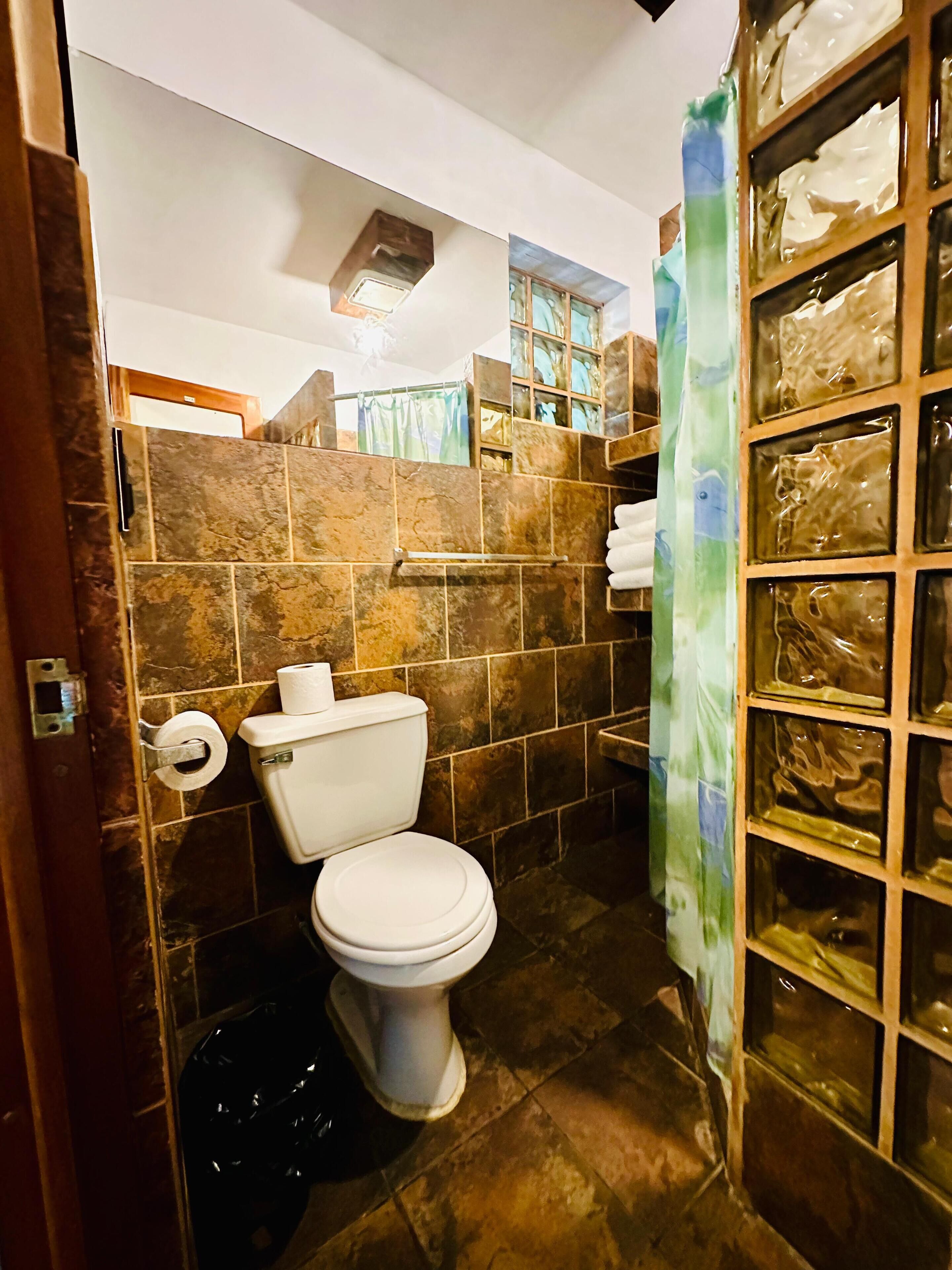 Ein Badezimmer mit Toilette, Duschbereich und einer Duschkabine aus Glas.