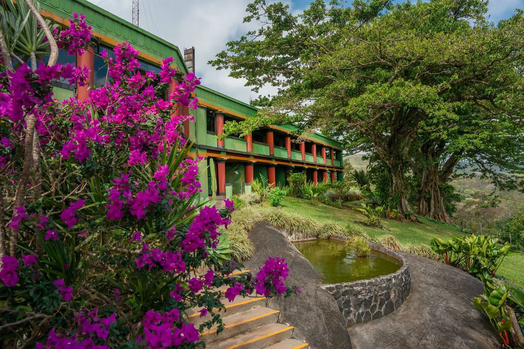 A building with a green facade and red pillars, surrounded by lush greenery and a small pond.