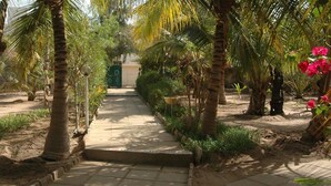 Un sentier bordé de palmiers et de plantes en fleurs, qui mène à un bâtiment doté d’une porte verte.