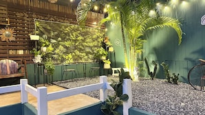 Um jardim interno acolhedor com um banco de madeira, cerca branca e diversos vasos de plantas.