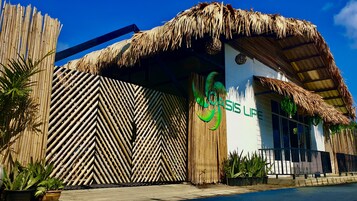 Un edificio con fachada de bambú y techo de paja, que muestra el logotipo 'Crisis Life'.
