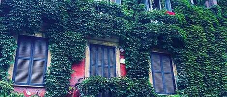 A building with multiple windows covered in green ivy, a wooden door, and a balcony.