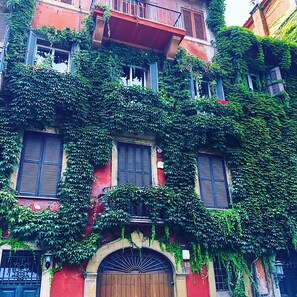 A building with multiple windows covered in green ivy, a wooden door, and a balcony. - Milizie 76 Gallery (Rome)