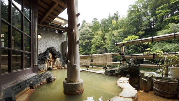 Un onsen japonés tradicional con un baño de piedra, pilares de madera y vistas a vegetación exuberante.