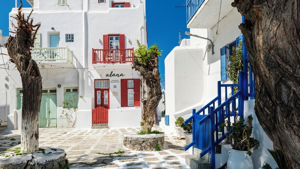 A white building with red doors and blue railings, a stone-paved street, and a tree in the foreground. - Alana Mykonos (Mykonos)
