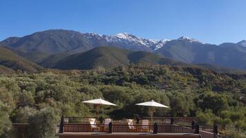 Outdoor pool, sun loungers