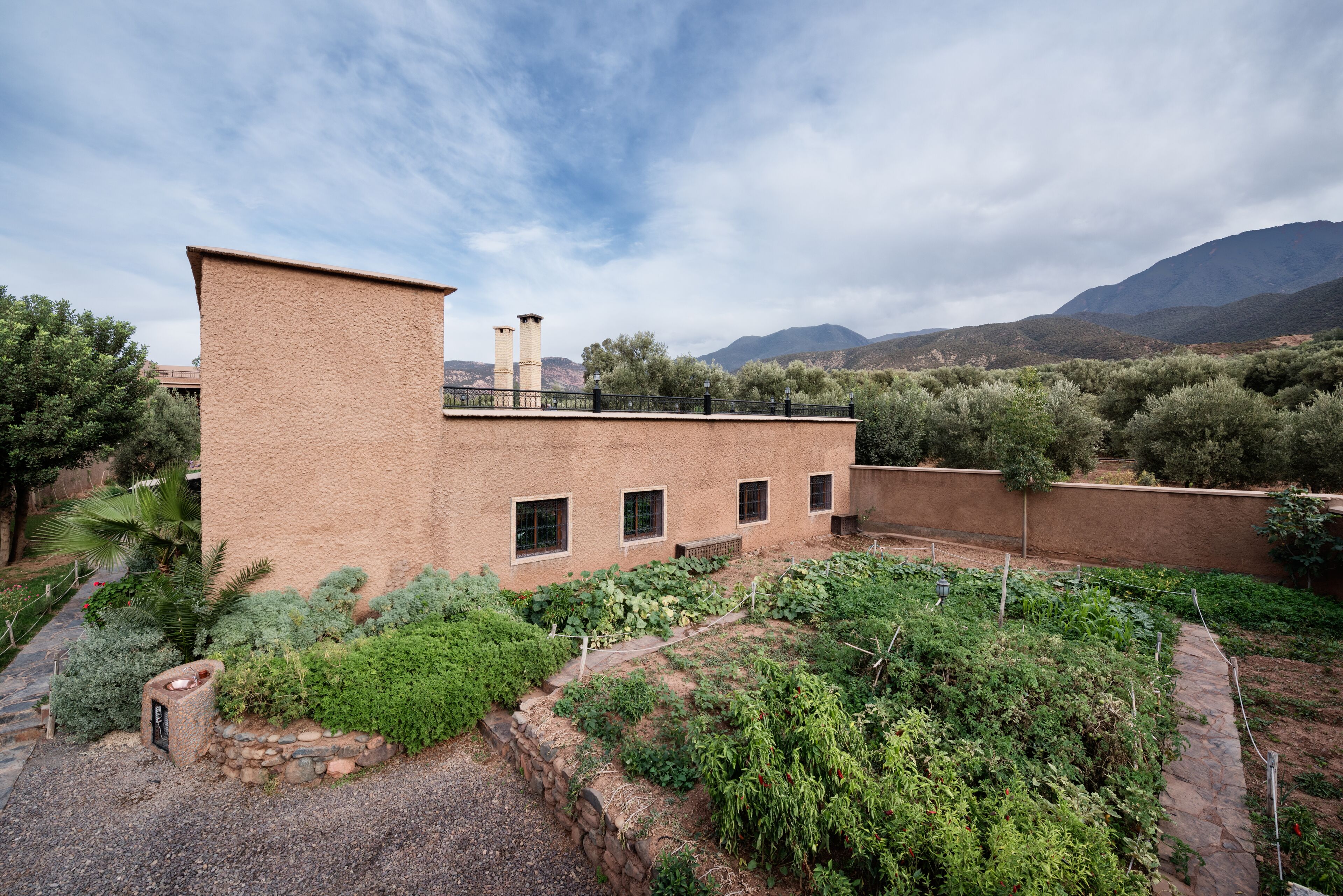 A building with a brick exterior, multiple windows, and a garden area with various plants and a stone pathway.