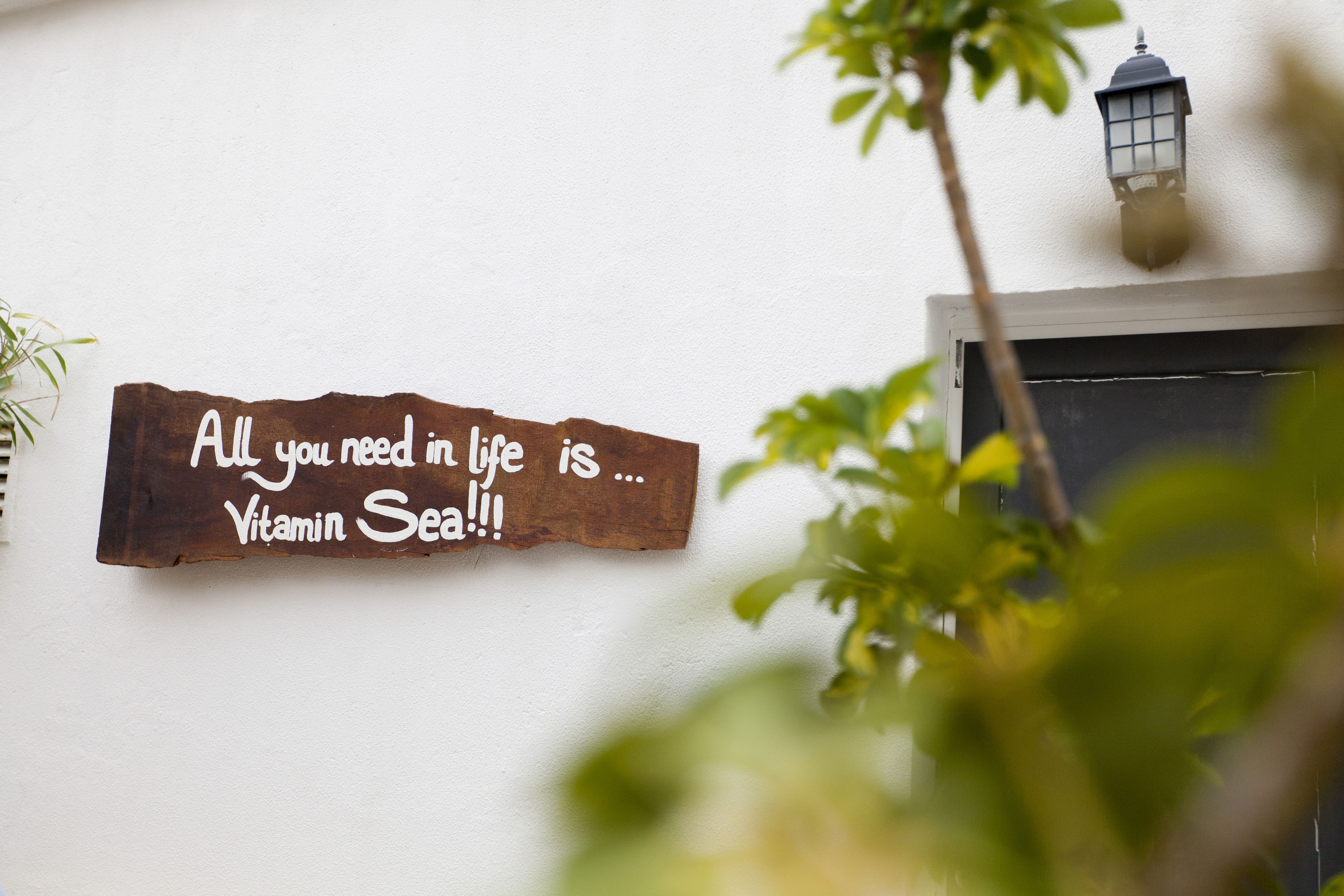 Photo - Amar Hostel & Suites