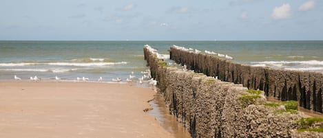 Vlak bij het strand