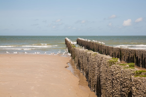 Pantai