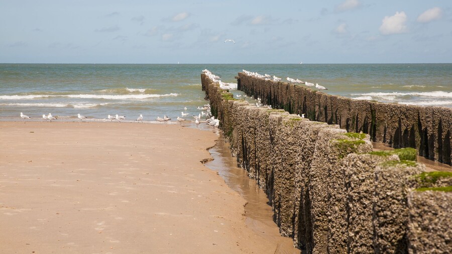 Domburg4you