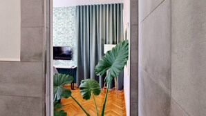A modern room with a wooden floor, grey walls, a large plant, and a TV in the background. - Vico Rooms and Terrace (Rome)