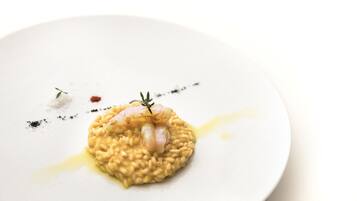 A plate of risotto with shrimp and a garnish, served on a white plate.