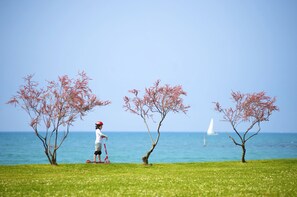 A child on a scooter near two trees by the sea with a sailboat in the background. - Rivalmare Boutique Hotel (Novigrad)