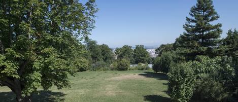 A park with a grassy area, trees, and a bench.