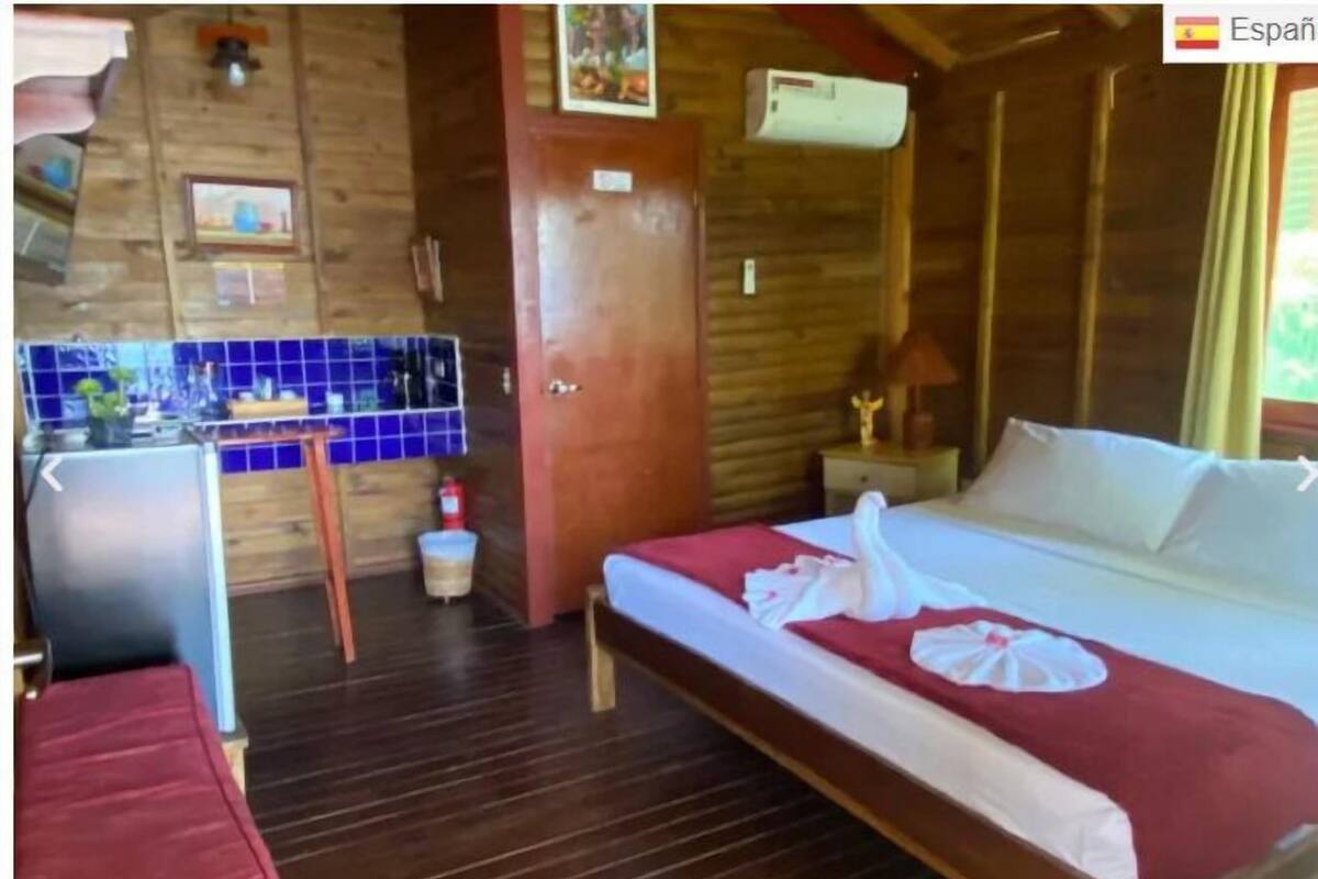 Een houten kamer met een bed, een kleine kitchenette en een badkamer.