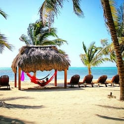 Relax in a shaded haven surrounded by palm trees and the soothing sound of the ocean.