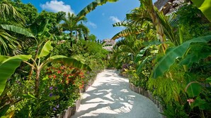 A pathway surrounded by lush tropical vegetation and a thatched-roof structure. - Ramon's Village Resort (San Pedro)