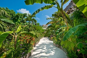 A pathway surrounded by lush tropical vegetation and a thatched-roof structure. - Ramon's Village Resort (San Pedro)