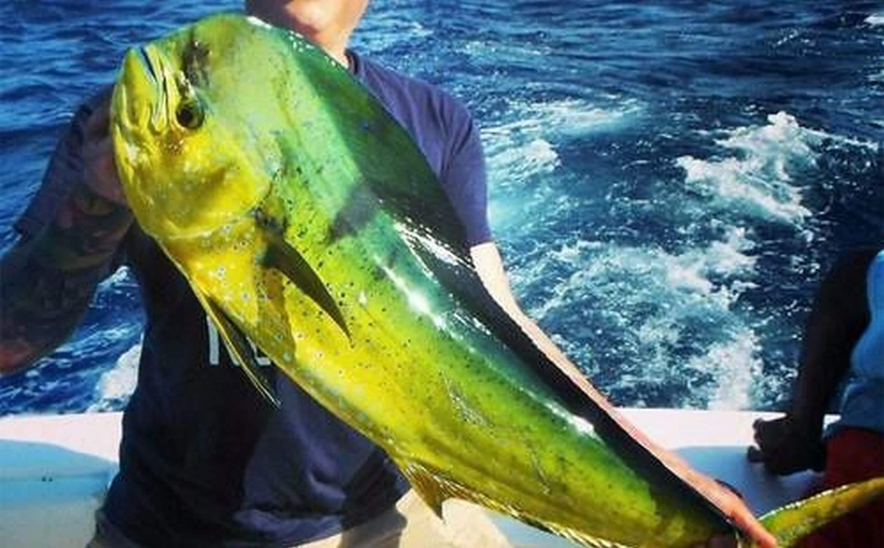 A person holding a large fish.