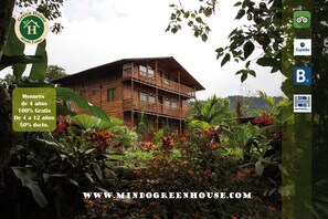View from property - Mindo Green House (Mindo)