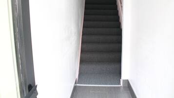 A staircase with carpeted steps leading upwards.