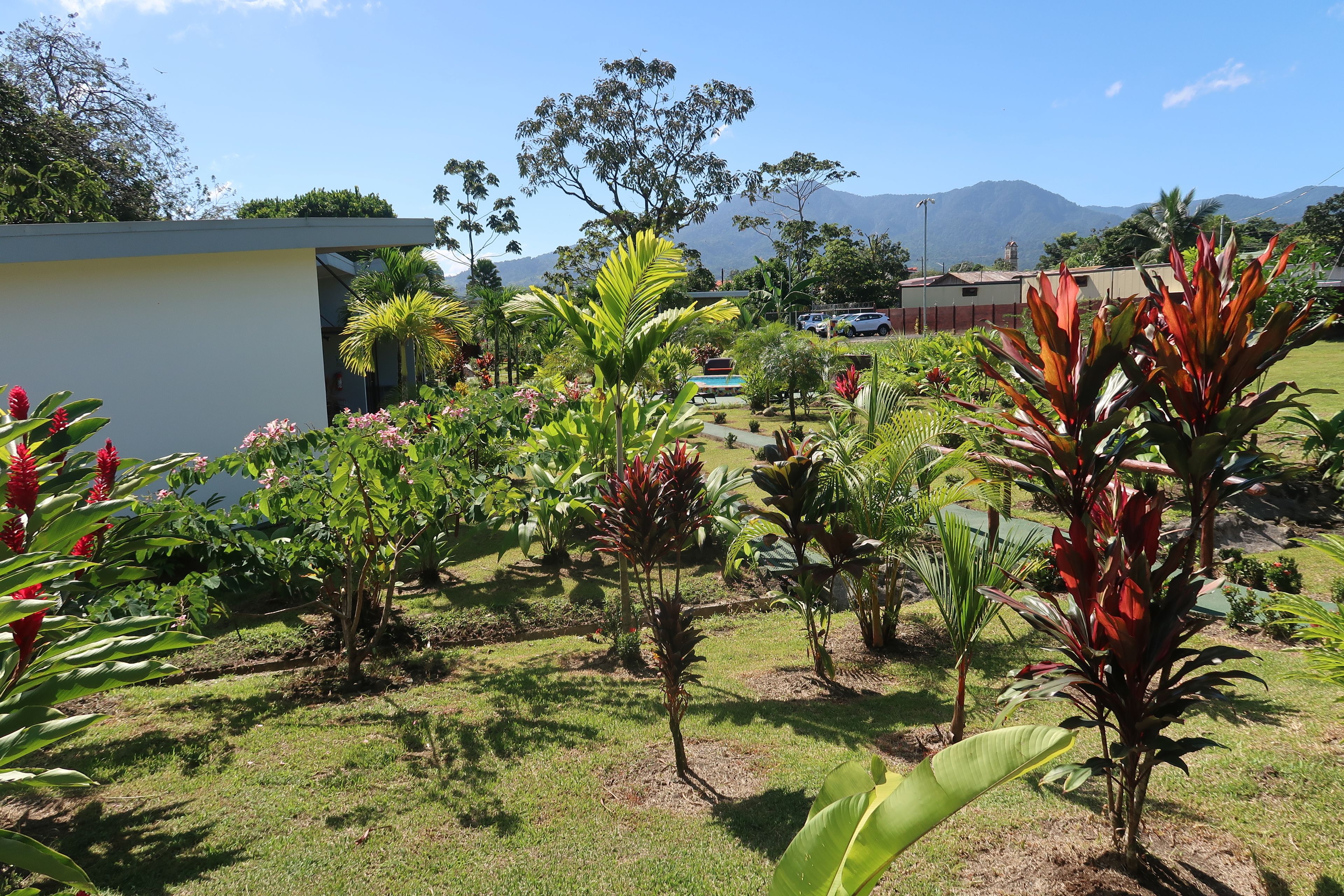 Un giardino con diverse piante e un edificio sullo sfondo.