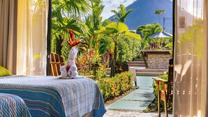 A hotel room with a bed, a view of a mountain, and a small pool area with plants and a chair. - Hotel Secreto La Fortuna (La Fortuna)