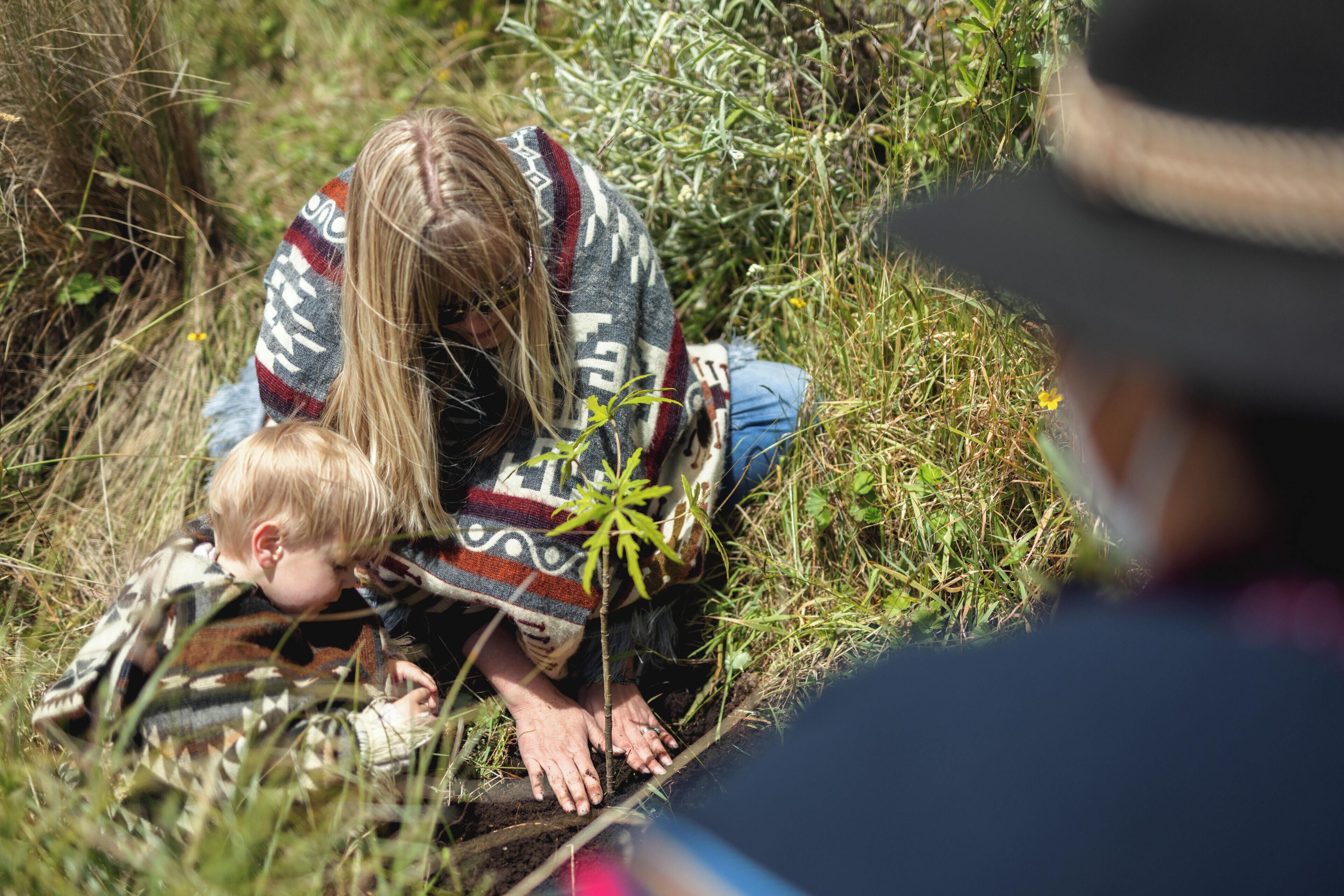 A person in a patterned blanket planting a tree in a grassy area.