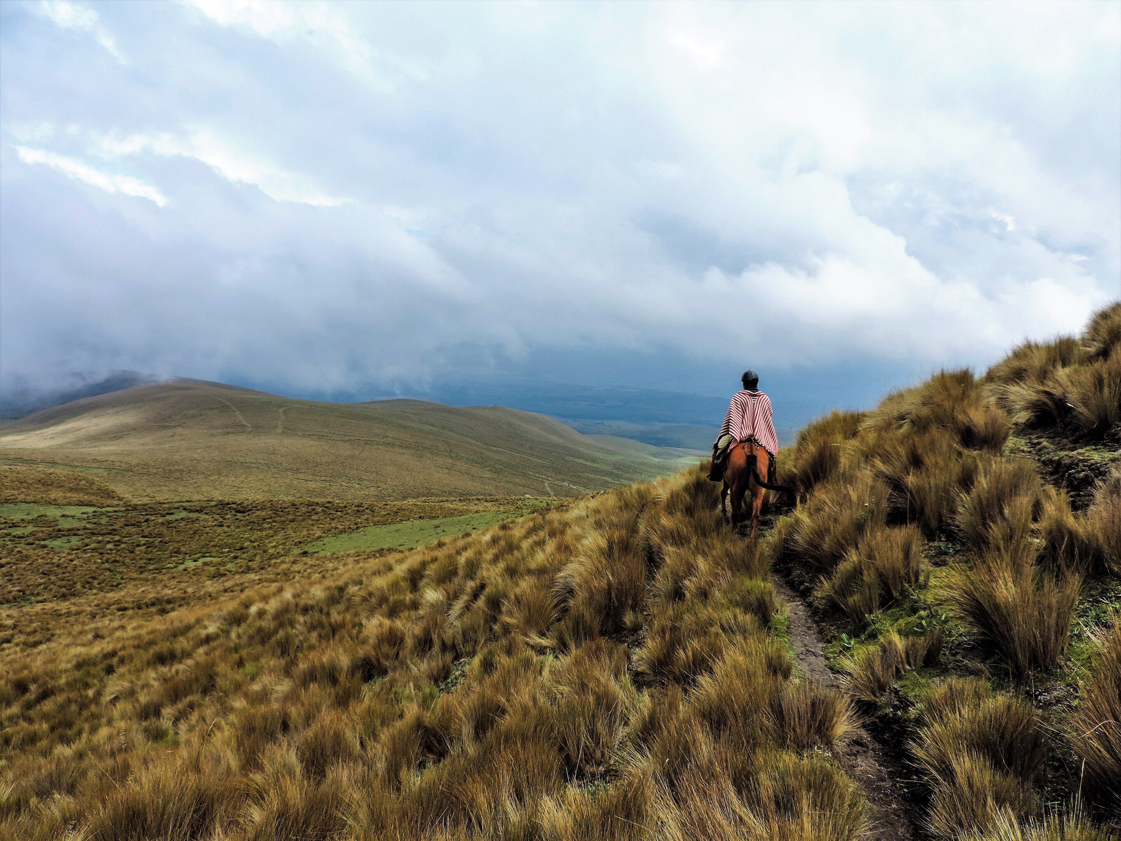 A person riding a horse on a grassy hill with a cloudy sky in the background.