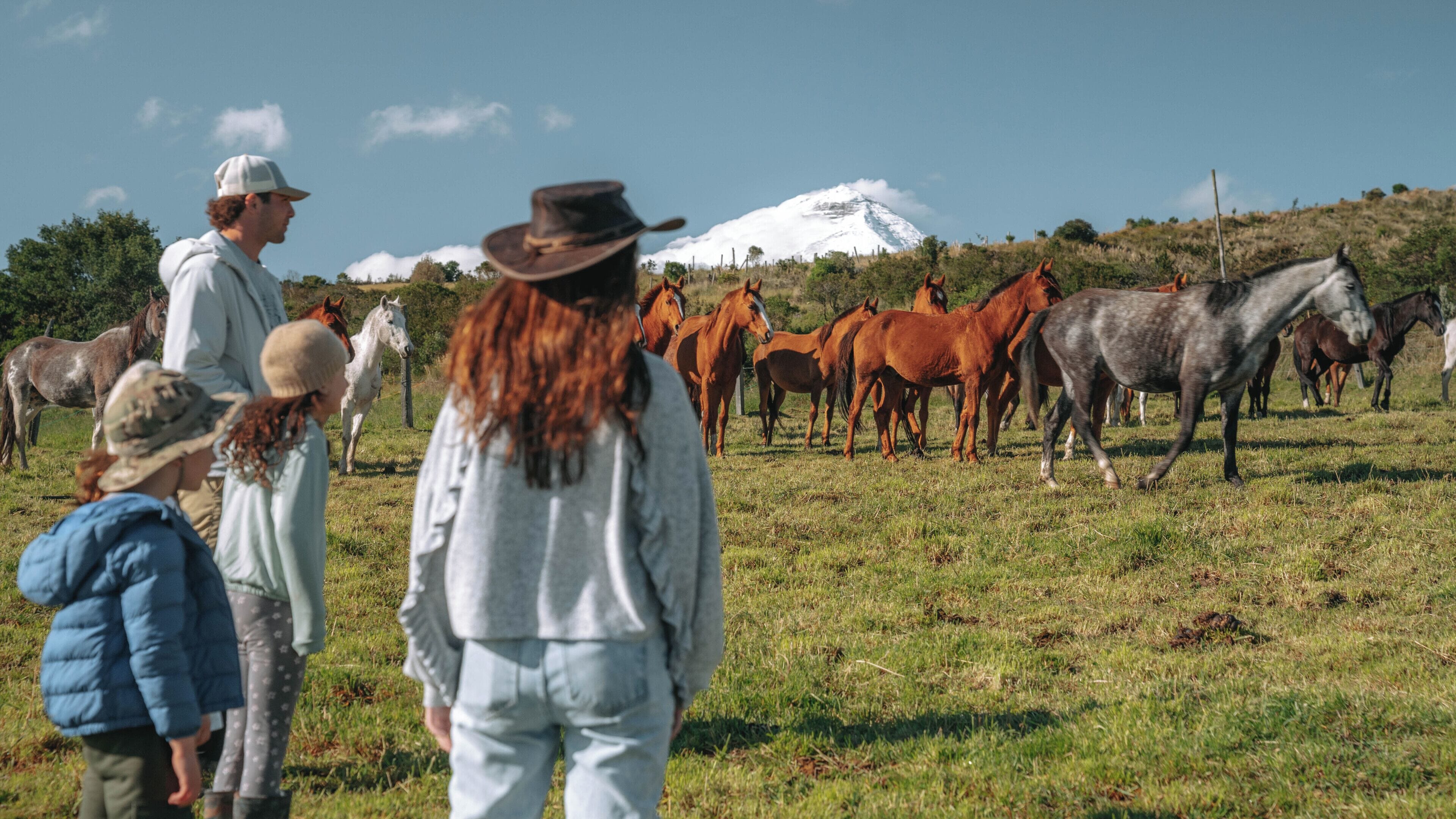 Un groupe de personnes observe des chevaux dans un champ verdoyant, avec une montagne en arrière-plan.
