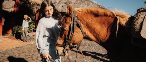 Una persona guiando un caballo con arnés, de pie sobre un camino adoquinado con una construcción de techo de paja al fondo.