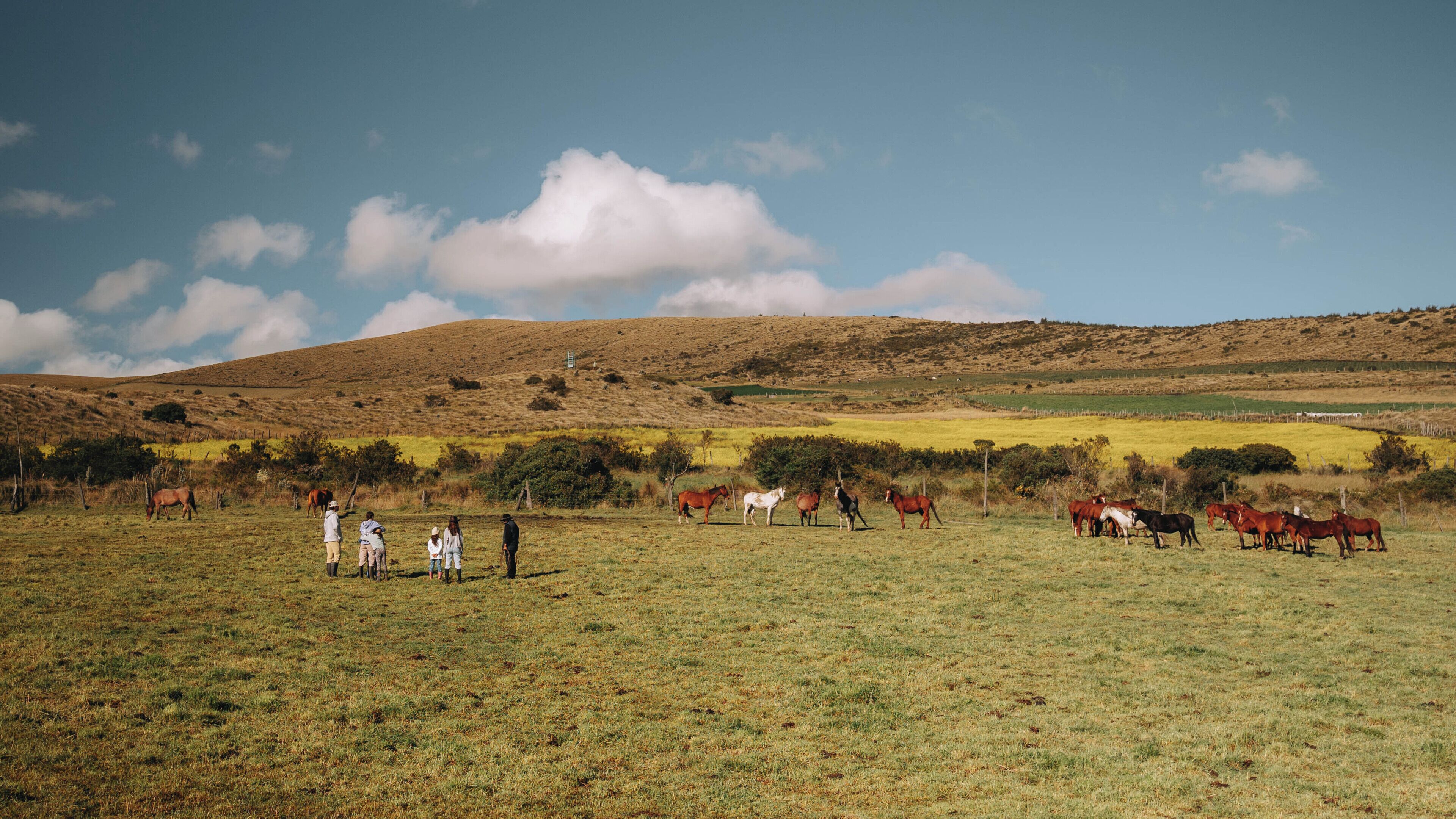 Een landelijk landschap met een groep mensen en paarden in een veld.