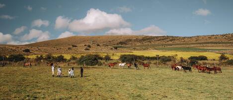 Een landelijk landschap met een groep mensen en paarden in een veld.