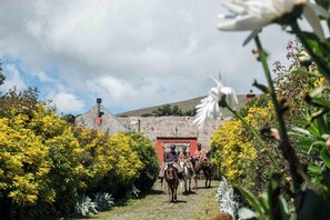 Un sendero adoquinado lleva a un edificio con entrada roja, rodeado de exuberante follaje y flores amarillas.