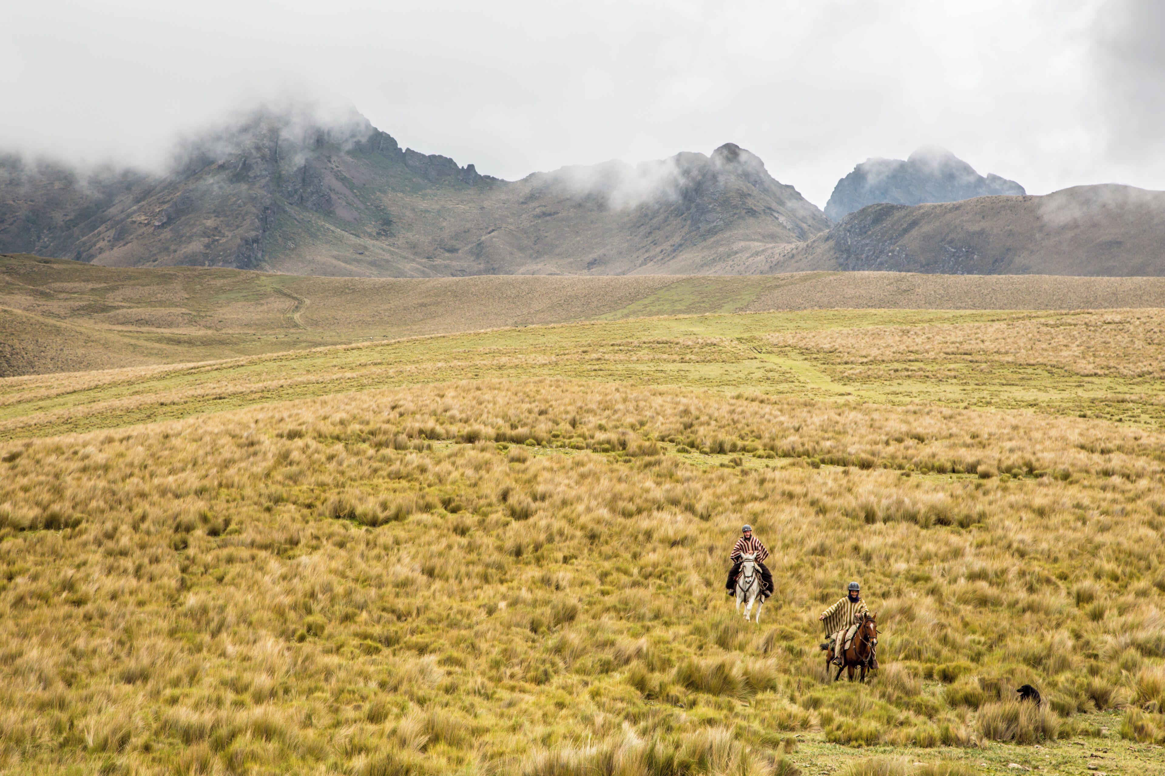 Un extenso campo abierto con una cadena montañosa al fondo.