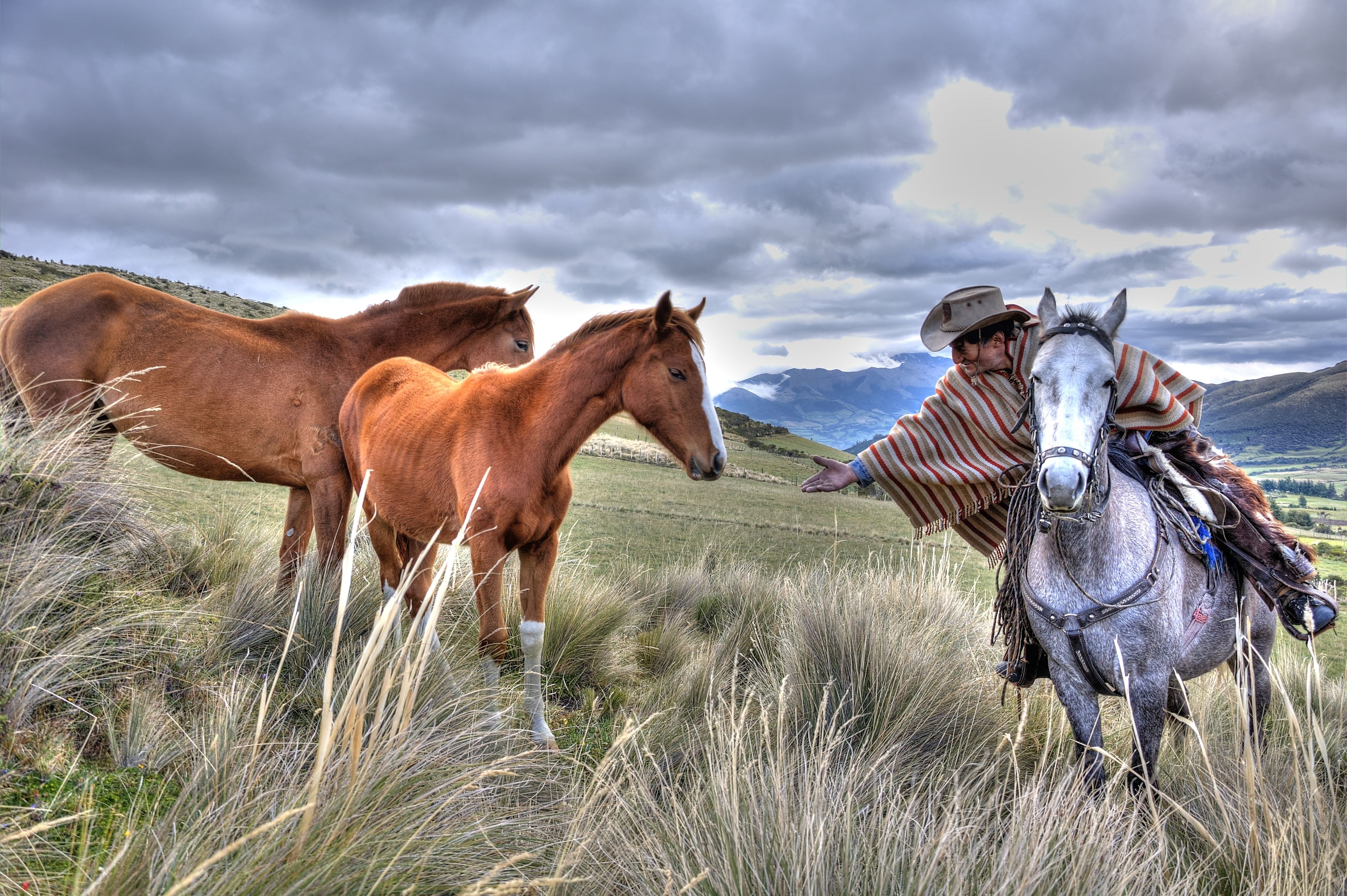 アシエンダ エル ポルベニール Expedia提供写真