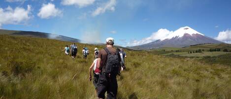 A group of hikers on a grassy field with a mountain in the background.