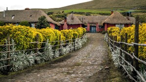 Un sendero de piedra que conduce a casas tradicionales con techo de paja y un jardín cercado.