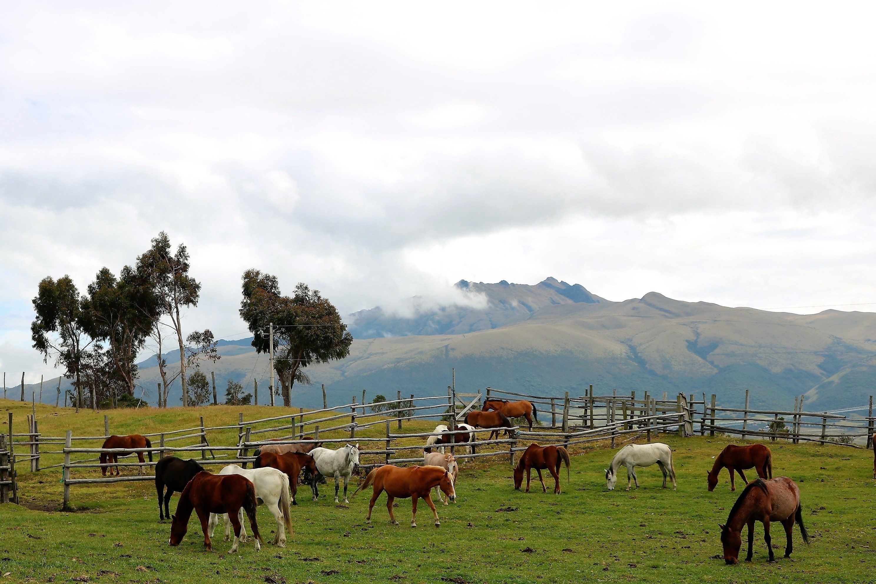 アシエンダ エル ポルベニール Expedia提供写真
