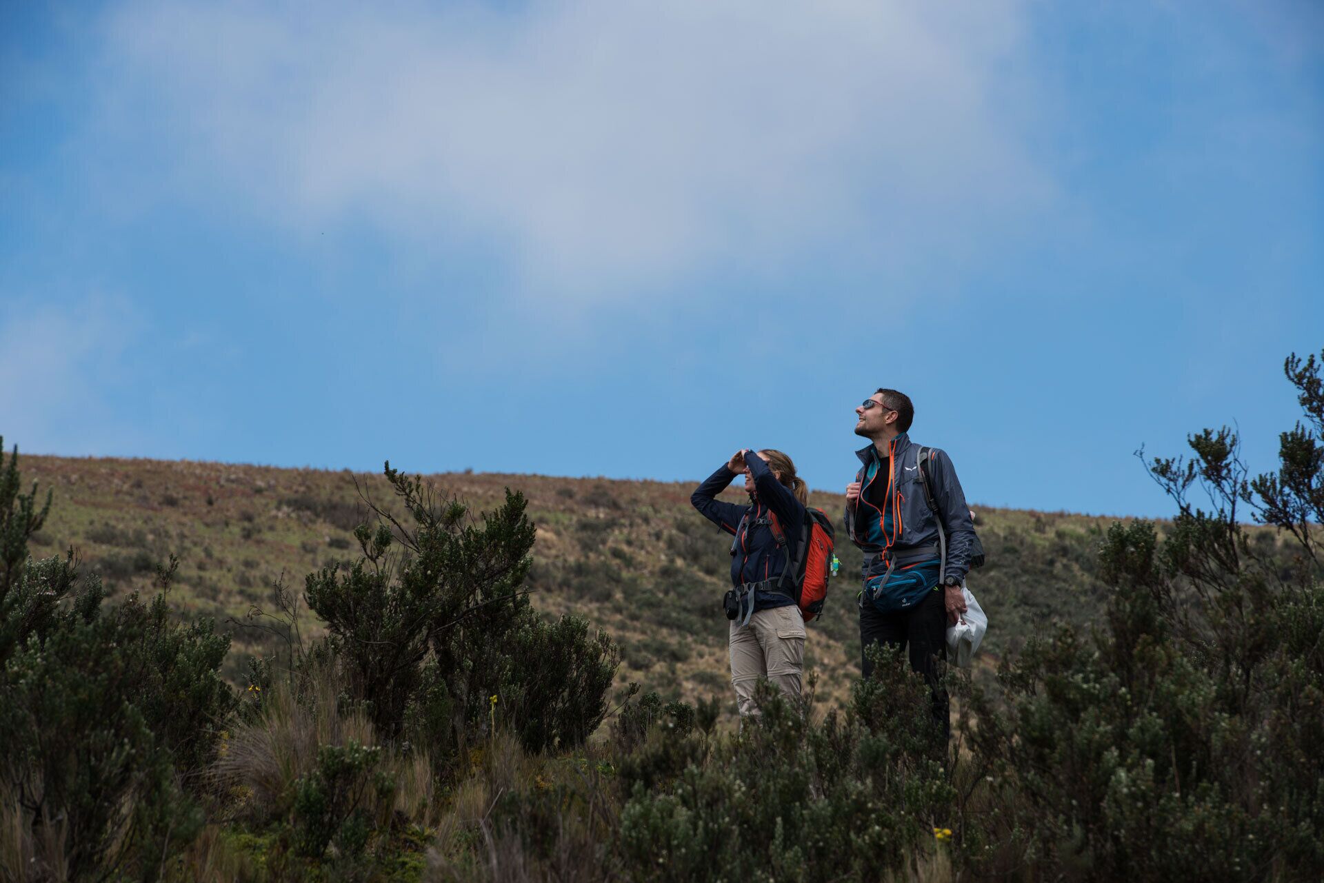Deux personnes font de la randonnée dans un paysage naturel, caractérisé par une végétation clairsemée et un ciel dégagé.