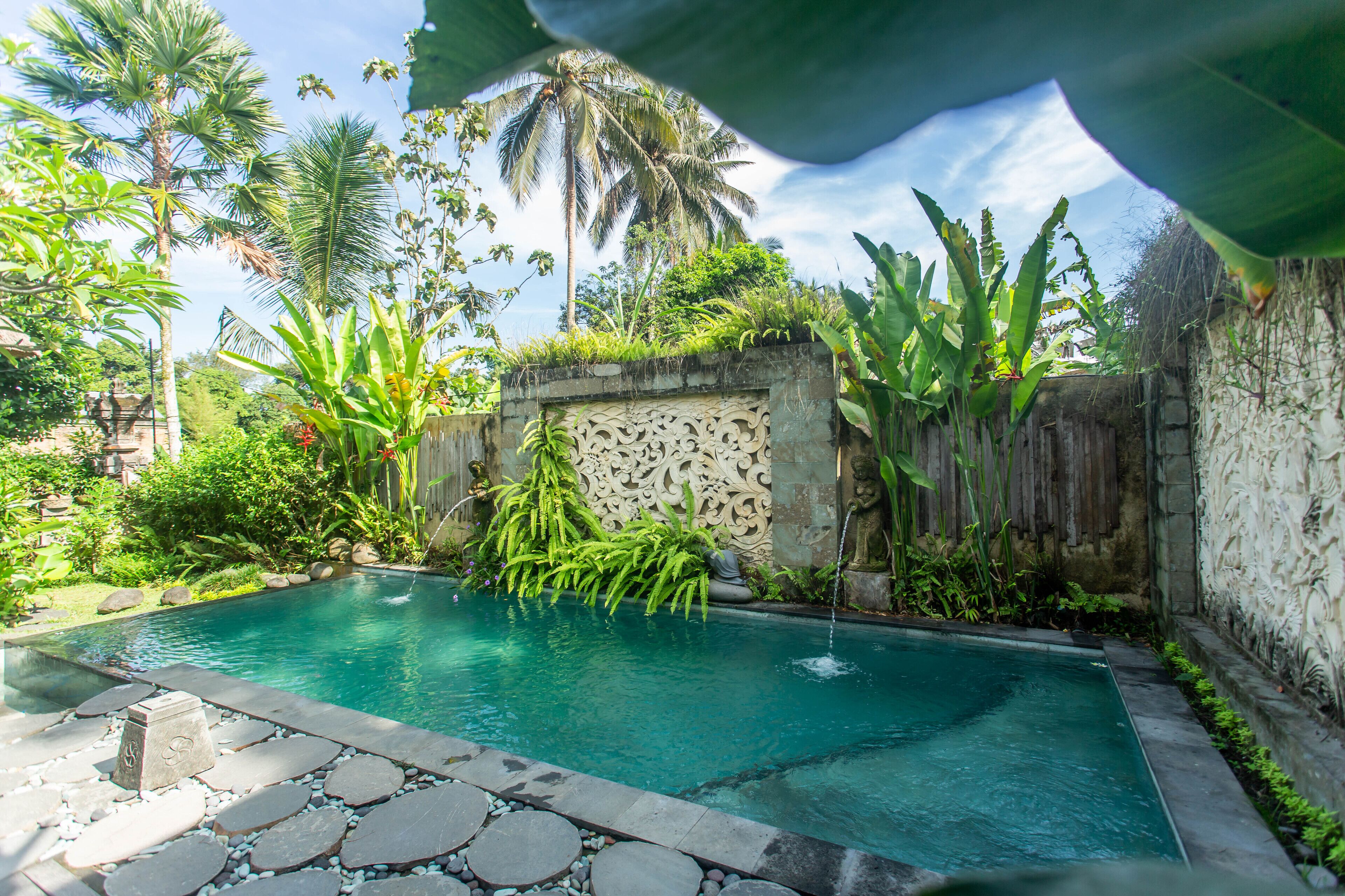 Una piscina rectangular con borde de piedra, rodeada de exuberante vegetación tropical y un muro de piedra decorativo.