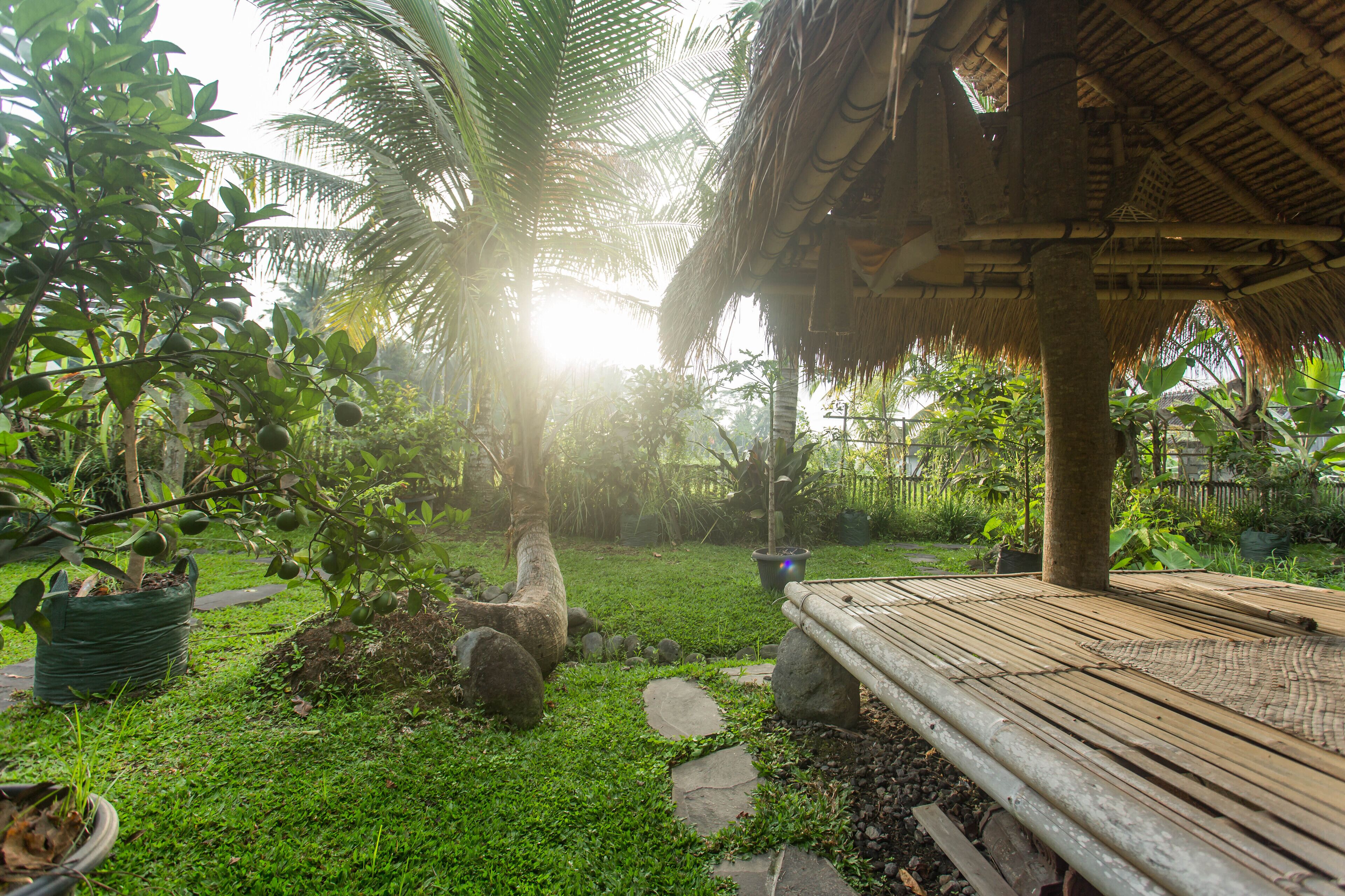Un jardín tropical con una terraza de madera, palmeras y una estructura de techo de paja.