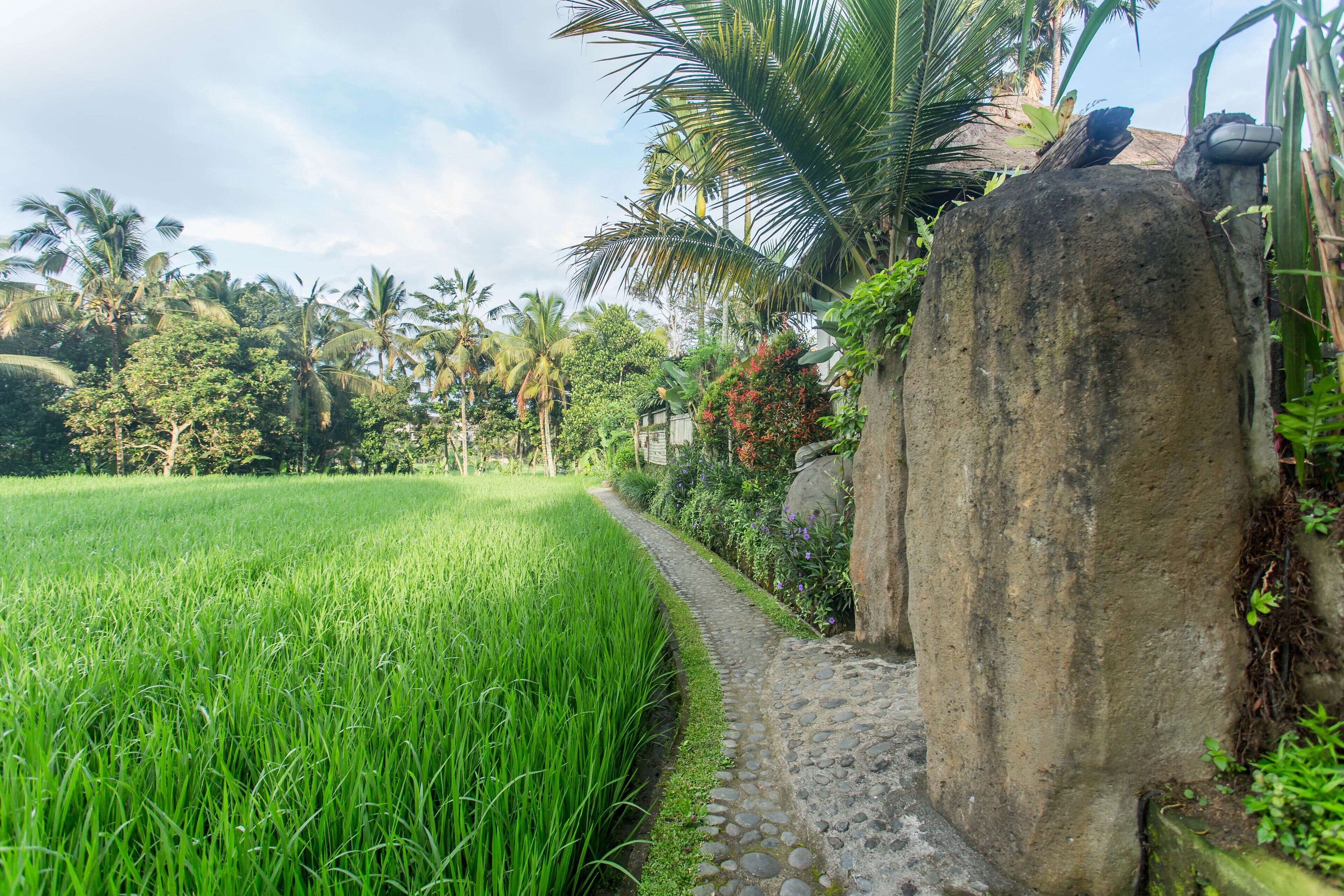 A pathway leading through a lush green field with a stone wall on one side and a large rock on the other.