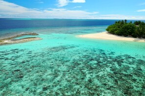 A tropical beach with clear turquoise waters, a sandy shore, and lush greenery. - Liberty Guest House Maldives (Mahibadhoo)