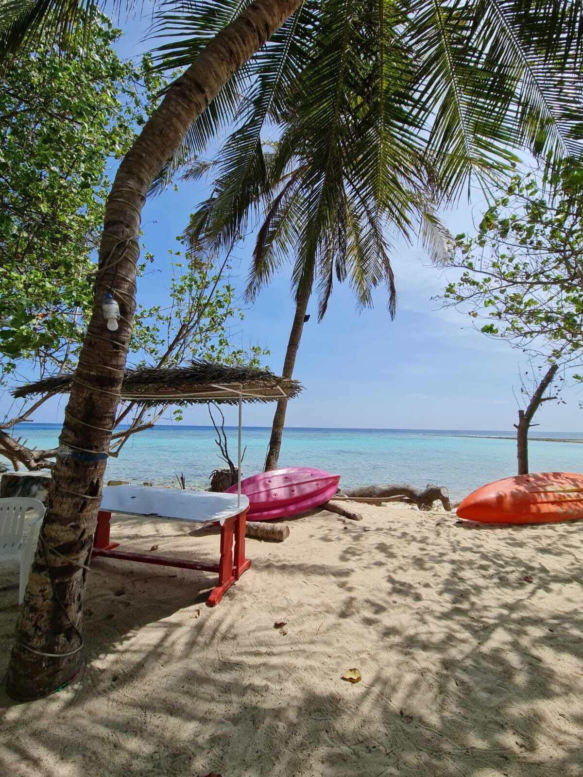 A beach scene with palm trees, a table, and a boat.